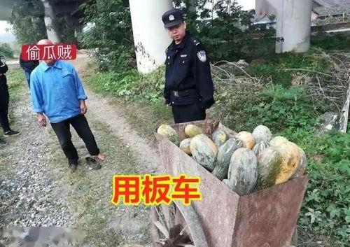 龙井骑行吃瓜事件视频,一场网络热议的骑行奇遇记