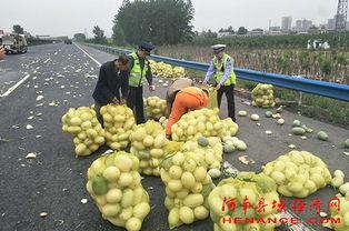 许昌豫园吃瓜事件视频最新,一场网络热议的美食与规则冲突