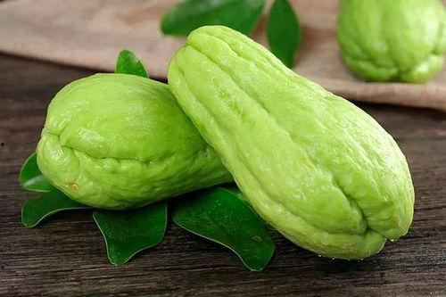 吃鳖可以吃佛手瓜吗视频,探寻养生美食的完美搭配