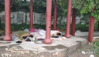 广职凉亭吃瓜视频,校园生活趣味瞬间