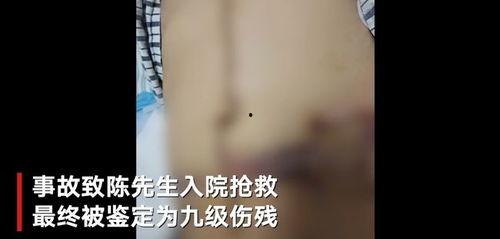 温州吃瓜事件视频最新,一场网络热议背后的真相揭秘