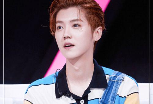 鹿晗吃瓜的视频,一场吃瓜大作战