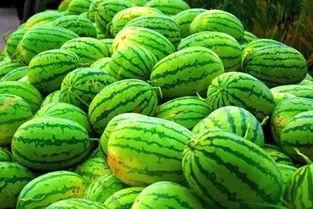 江西九江吃瓜视频,揭秘江西美食文化新潮流