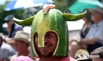 战鹰吃瓜视频大全,揭秘热门视频背后的趣味故事