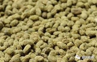 延津吃瓜的视频,揭秘当地特色美食背后的故事