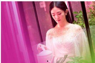 谢娜吃瓜视频在线观看,揭秘娱乐圈幕后故事