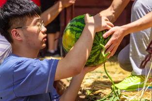 唐庄吃瓜视频,揭秘娱乐圈幕后风云