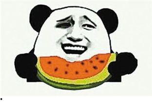 吃瓜群众小人物视频大全,小人物视频大全背后的故事与笑料